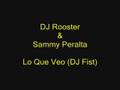 DJ Rooster & Sammy Peralta Lo Que Veo (DJ Fist Remix) 2008