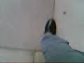 Qadam mizanam Qadam mizanam