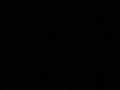 Bokaa Roncando (parte 1) - Van de Ribeirão Preto