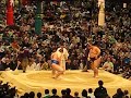 Sumo 2 - UCLA Japan trip 2008
