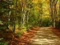Peaceful Concentration Relaxation Meditation-Music-Part1