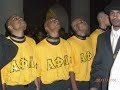 Alpha Probate Show