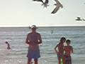 videos de PC281075