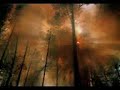 شاهد الحلقة كاملة http://es.youtube.com/profile_videos?p=r&user=esmailtube&page=22