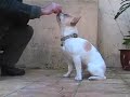 See video