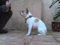 See video