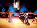 Playback adulto 2008 Hoguera Lillo Juan - The Little Mermaid (La sirenita)