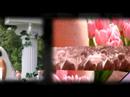 Jen and Joe Picture Perfect Wedding Art Story Book Jen and Joe Picture Perfect Wedding Art Story Book