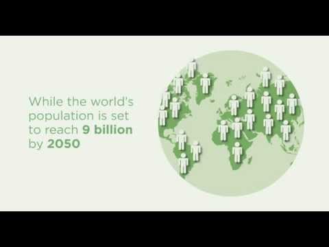 The Future of Food