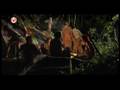 videos de Nicolette van Dam upskirt in Zoop in Afrika - HQ - High Quality / Hoge Kwaliteit