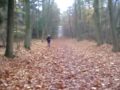 PB080020.MOV