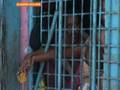 Crime pays for Somalia's pirates - 10 Oct 2008