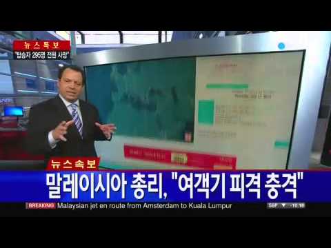 말레이 여객기 미사일에 '격추'...'295명 전원 사망' / YTN