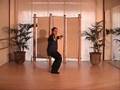 Eight Section Brocade Standing Qi Gong DVD Preview