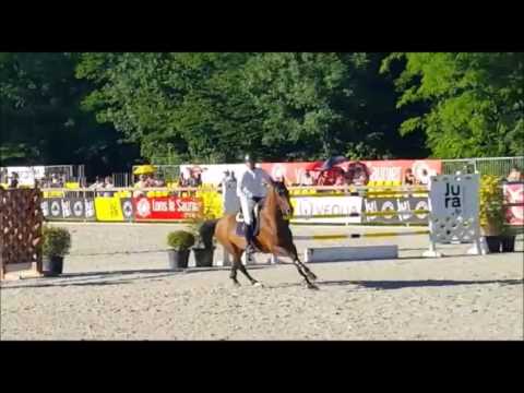 JUSSICA 1M50 CSI3* LONS LE SAUNIER JUNE 2017