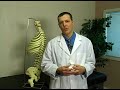 Back Pain Relief: Tips and Treatment : Natural Herbs That Relieve Back Pain