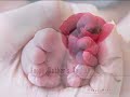 FESTA DELLA MAMMA - Happy Mother\ FESTA DELLA MAMMA - Happy Mother\