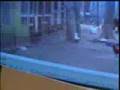 Cockfighting Arrest