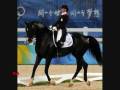 Keltec Salinero & Anky van Grunsven 2008 Olympic Champions