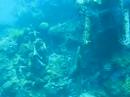 Flying Fortress (B17) Honiara