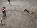 videos de Comète jumping Laufen