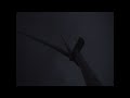 Samuel Barber - Adagio for Strings Samuel Barber - Adagio for Strings