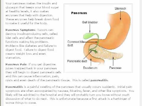 how to care pancreas