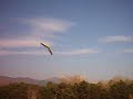 minislinger in volo