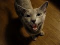 ????????????