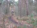 videos de Mountainbiken in het Staphorster bos