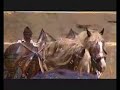 King of the Alps