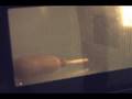 videos de BaconSalt Diaries Episode 1:  Corn Dog
