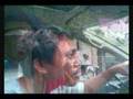 Sibul 4