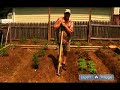 How to Plant a Vegetable Garden : Introduction to Vegetable Gardening