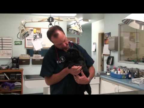 how to relieve sneezing