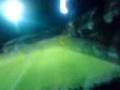 leicester v scunny 3