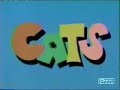 samurai pizza cats kung fu kitty contest part 1