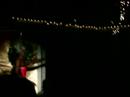 Holly Days