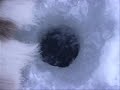 Ice Fishing, Utsjoki, Finland