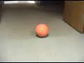 contraption office fun officeplace rube goldberg machine