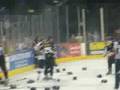 Belfast Giants Vs Newcastle Vipers Brawl 13.9.08