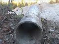 skutt i r�ttvik