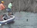 G3 Sportsman - Top Water Ribbit Frog Bass Fishing Action
