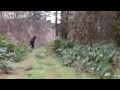 Bigfoot Sighting (real)