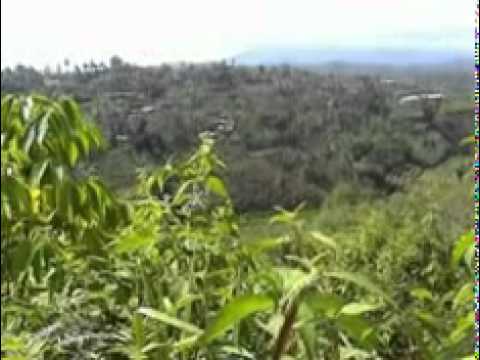 Batanghari Sembilan - Gitar Tunggal - Hindu Bejulat - cipt Zainal - voc Amran Cs - guitar Amran Cs
