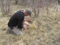 Pig Hunt for EPEK Broadhead demo by Cheater Point