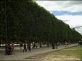 Paris - peace eifel