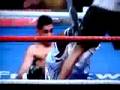 Amir Khan gets owned by prescot