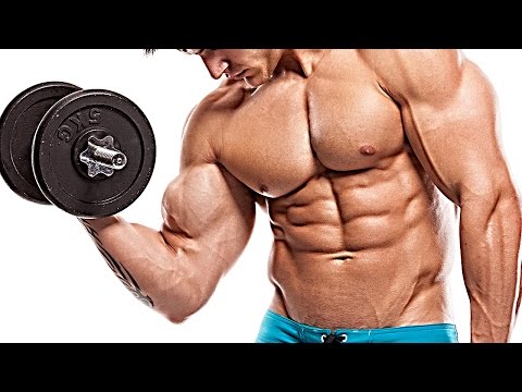 how to get more muscle