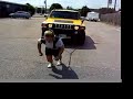 Strong woman pulls a Hummer